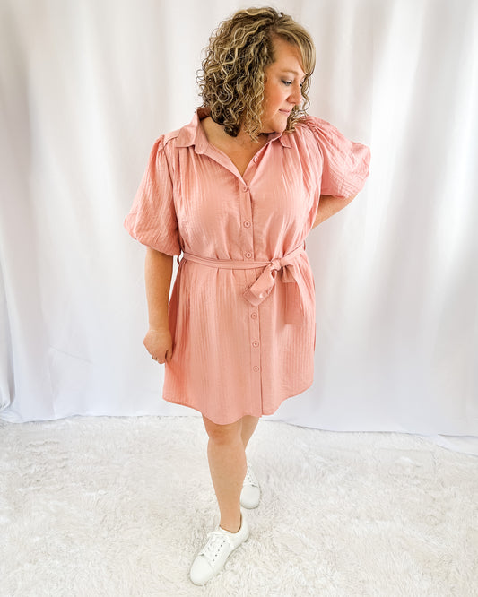 Better Places Puff Sleeve Dress