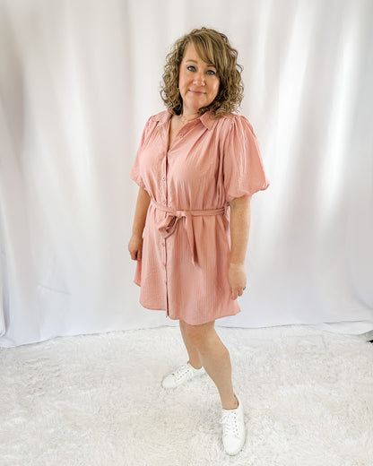 Better Places Puff Sleeve Dress