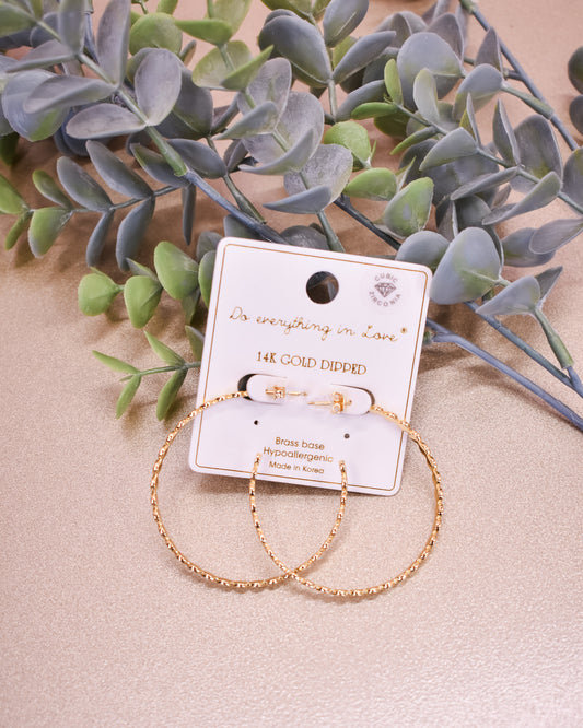 Linked Disk Hoop Earrings