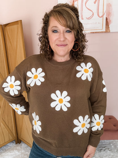 Show You Off Daisy Embroidered Sweater