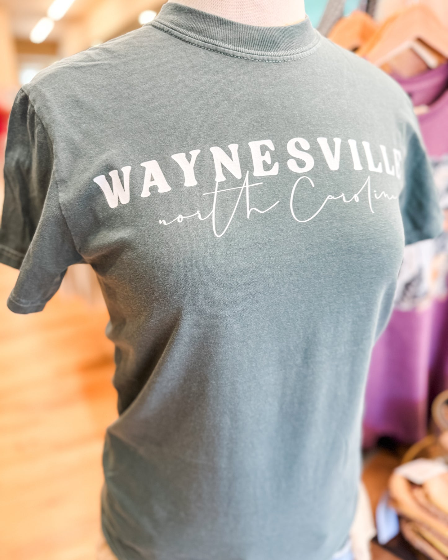 Gray t-shirt with 'WAYNESVILLE north Carolina' text on a mannequin in a store setting.