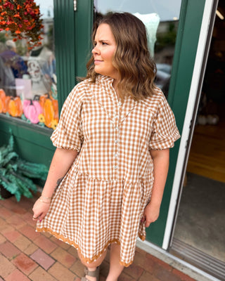 Gingham & Gatherings Ric Rac Trim Dress - The Southern Loft