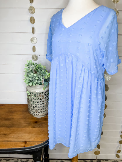 Sweet and Chic Swiss Dot Dress