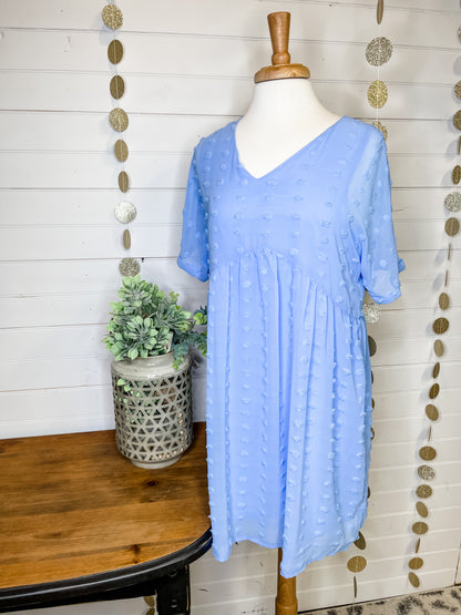 Sweet and Chic Swiss Dot Dress